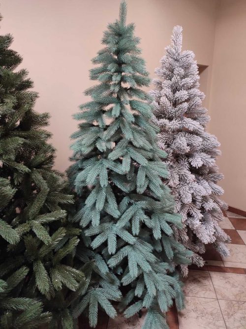 Ялинка лита голуба “Буковельська” 1.5м